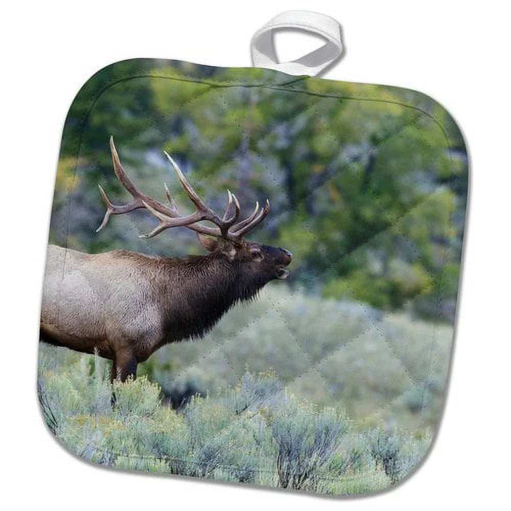 3dRose Rocky Mountain Bull Elk Bugling Pot Holder