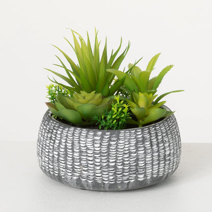 Sullivans Artificial Succulent In Cement Planter 6"H Green