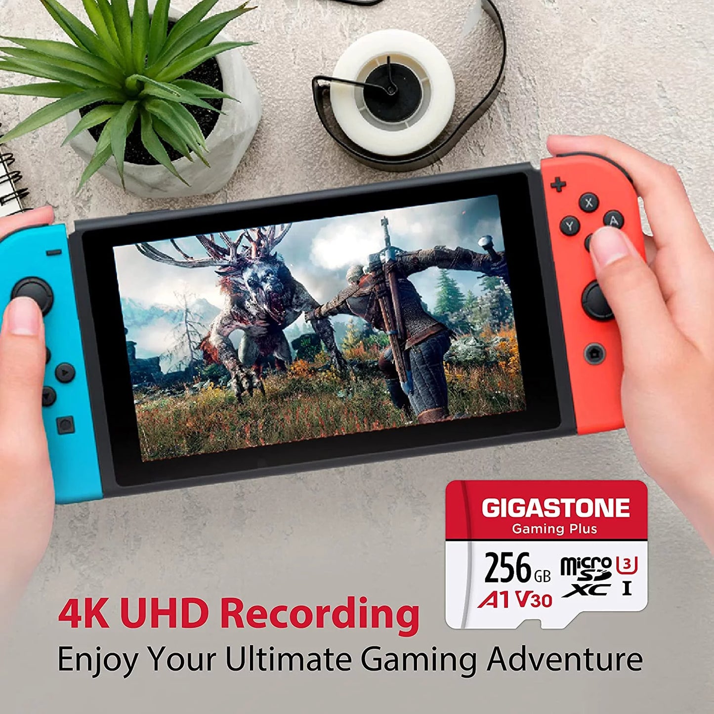 [Giga] 256GB ro SD , Gaming Plus, roSDXC Memory for Nintendo-Switch, Wyze, GoPro, Dash Cam,