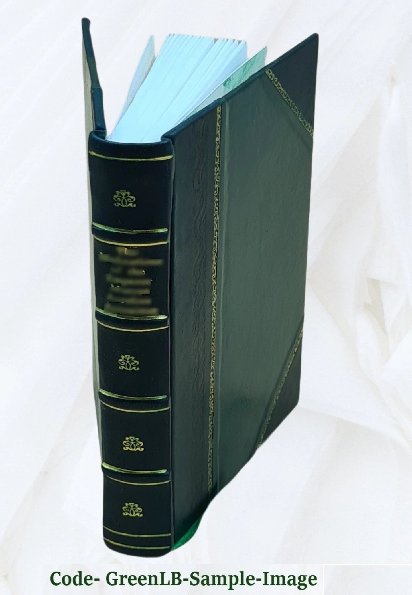 The brazen mask : a romance / by Charlotte Putney. Volume v.2 1826 [Leather Bound]