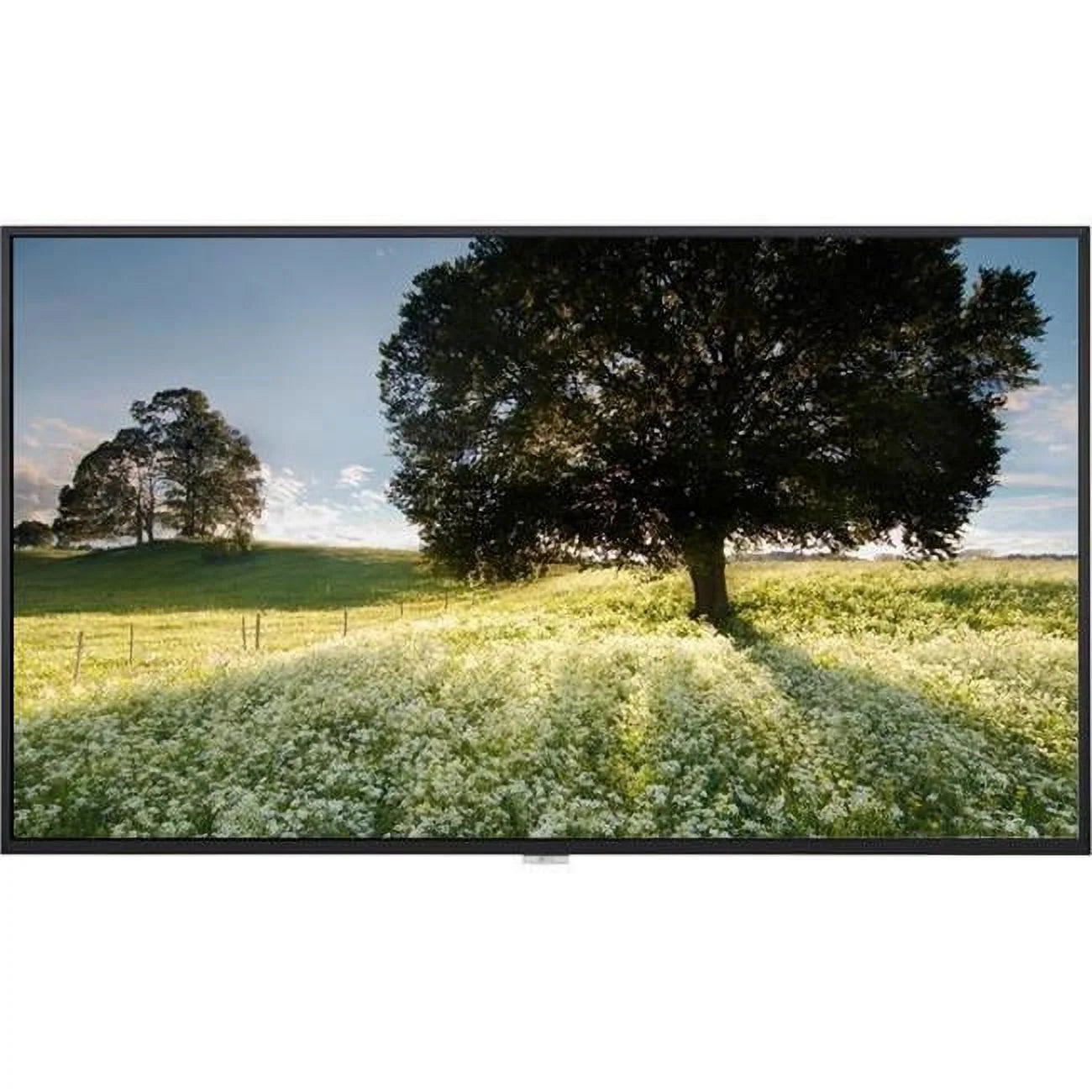 65 in. 3840 x 2160 HDMI LED LCD Monitor - TAA, DP DVI Speaker 24 x 7 - Landscape & Portrait - 3 Year