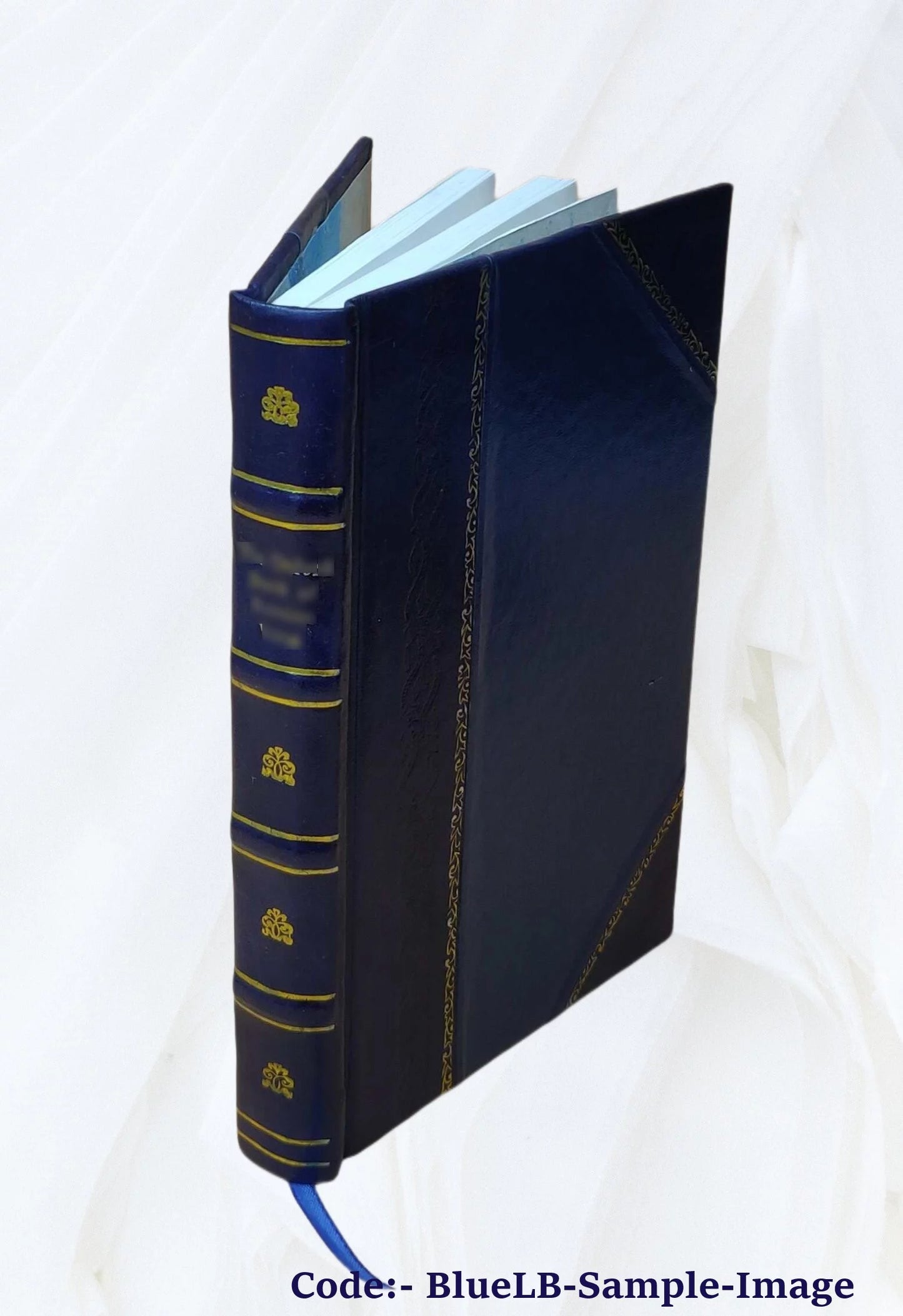 A distinguished provincial at Paris and Z. Marcas 1898 [Leather Bound]