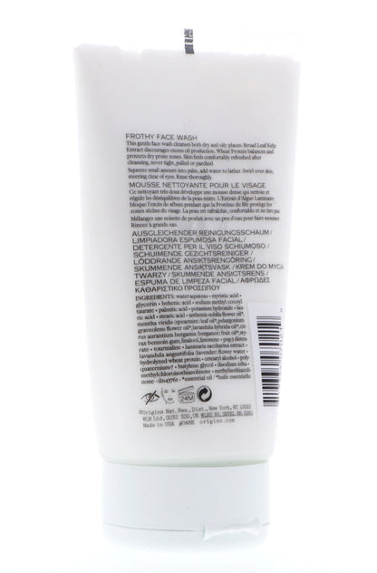 Checks and Balances Frothy Face Wash by Origins for Unisex - 5 oz Cleanser