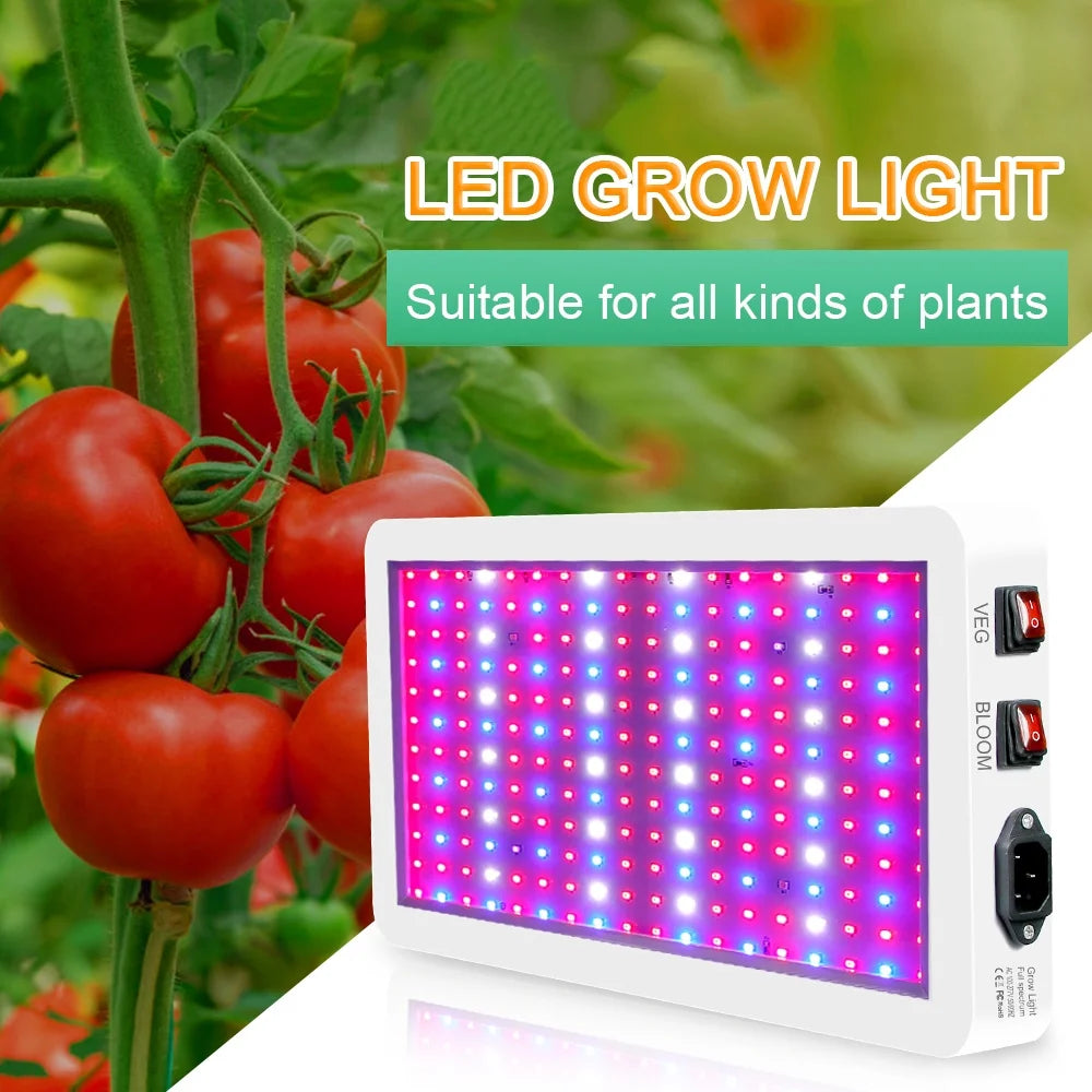 Anself 2000W Full Spectrum LED Grow Light - 312 LEDs with Veg/Bloom Dual Switch - IP65 Waterproof Indoor Plant Growing Lamp - Ideal for Seedlings, Flowers, Greenhouse Use