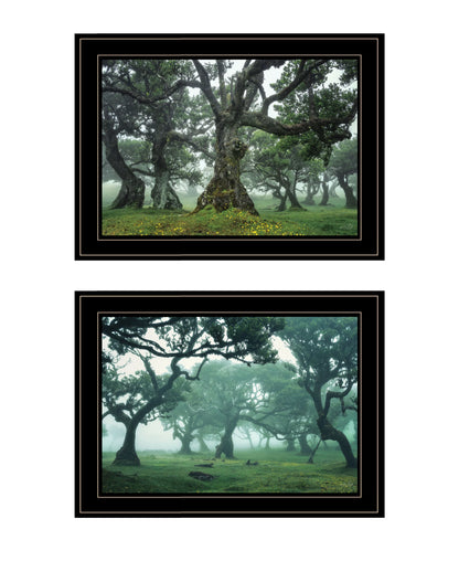 "Enchanted Forest Collection" 2-Piece Vignette By Martin Podt, Ready to Hang Framed Print, Black Frame