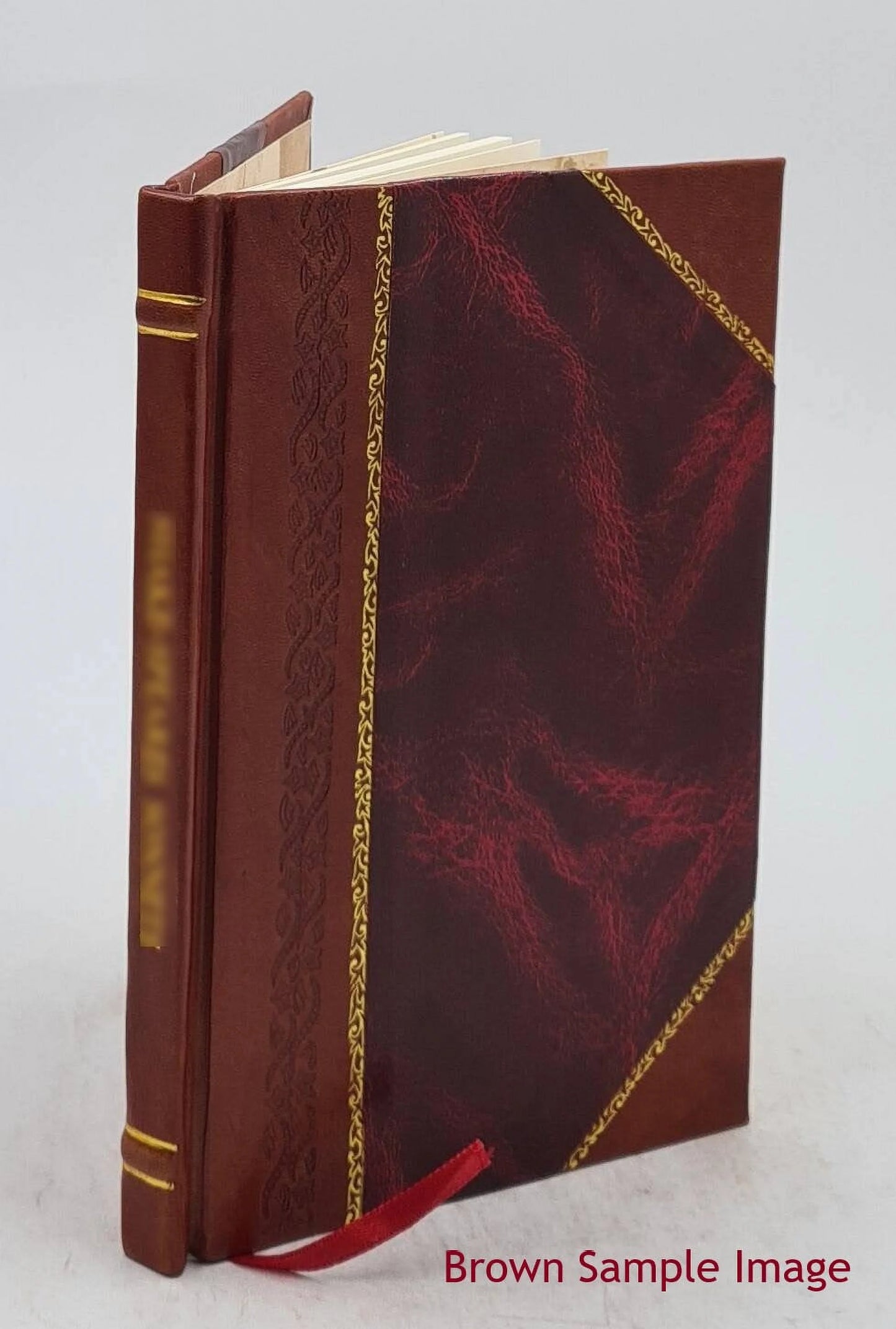 Cartier sails the St. Lawrence [Leather Bound]