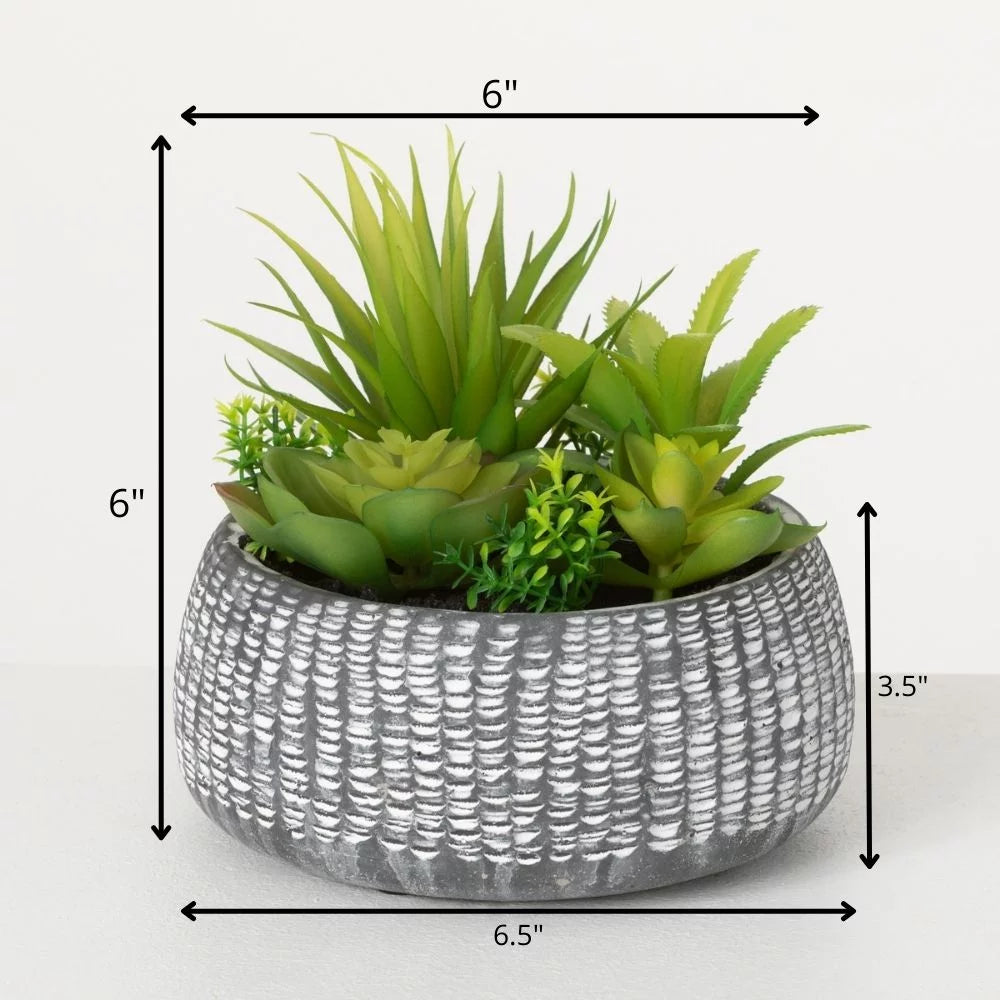 Sullivans Artificial Succulent In Cement Planter 6"H Green