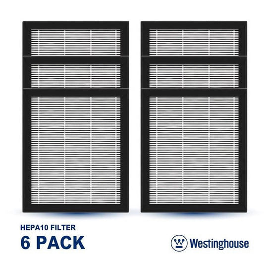 Westinghouse WES-HEPA10x6 10 x 6 in. Hepa Filter