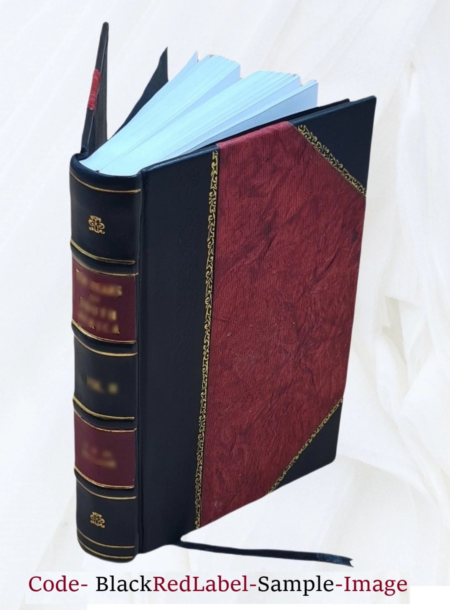 A distinguished provincial at Paris and Z. Marcas 1898 [Leather Bound]