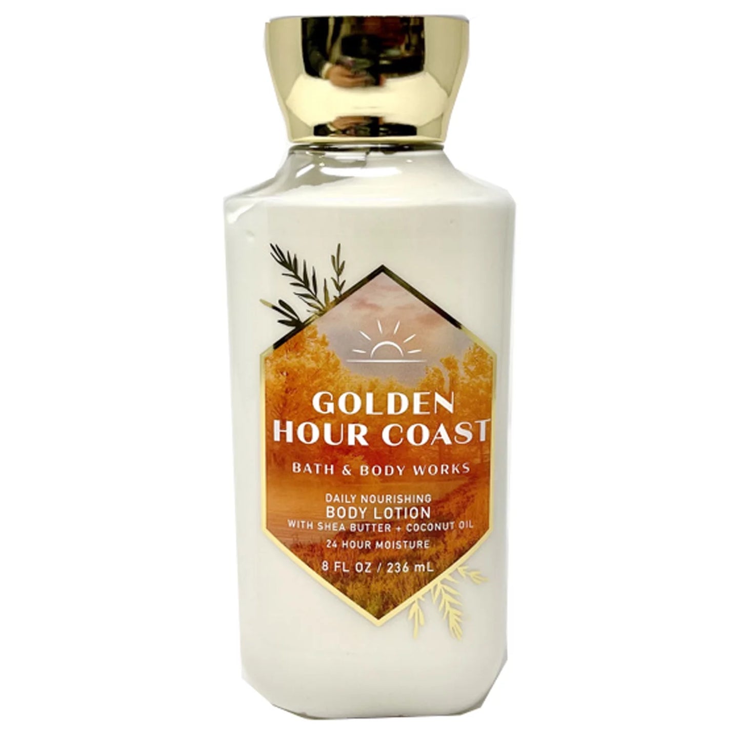 White Barn Golden Hour Coast Body Lotion 8 fl/oz--Bath and Body Works