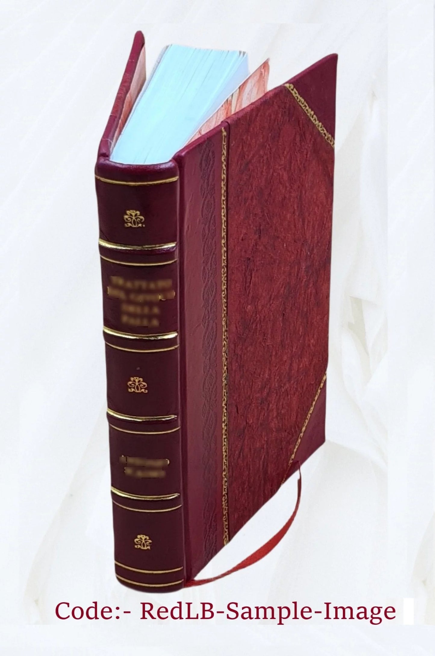 The brazen mask : a romance / by Charlotte Putney. Volume v.2 1826 [Leather Bound]