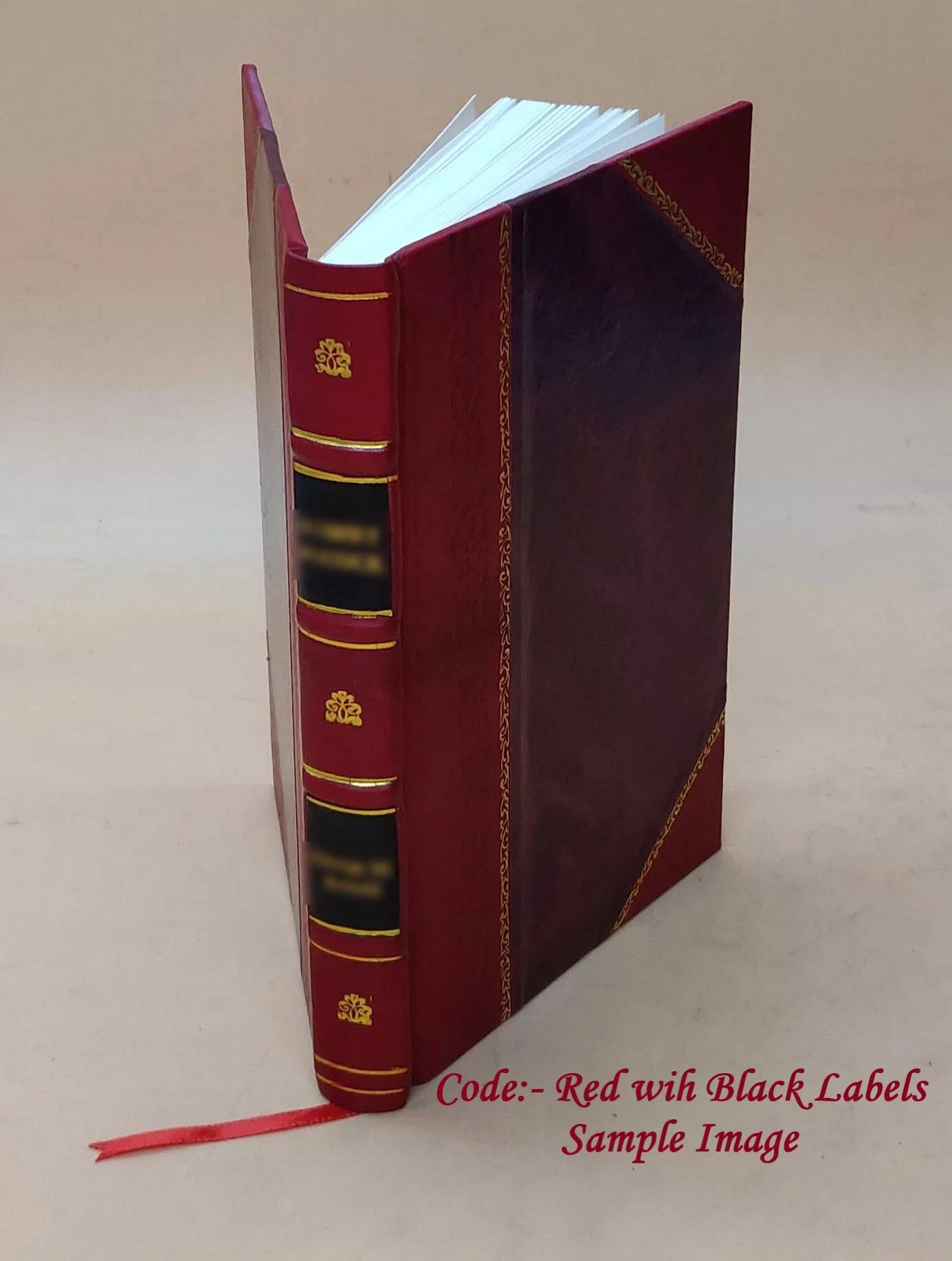 Union College Catalog 1893 - 1907 Volume 1893-1907 1893 [LEATHER BOUND]