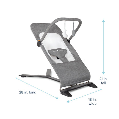 Baby Delight Alpine Deluxe Portable Baby Bouncer, for Infants 0-6 Months, Charcoal Tweed